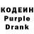 Codein Purple Drank Ulbala Tokseitovna