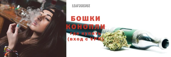 apvp Алексин