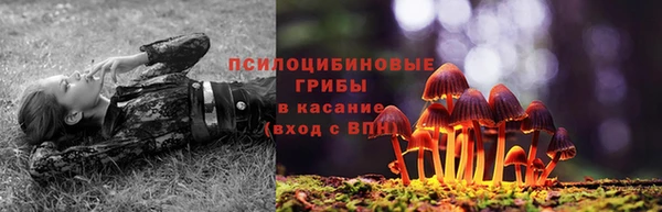 apvp Алексин