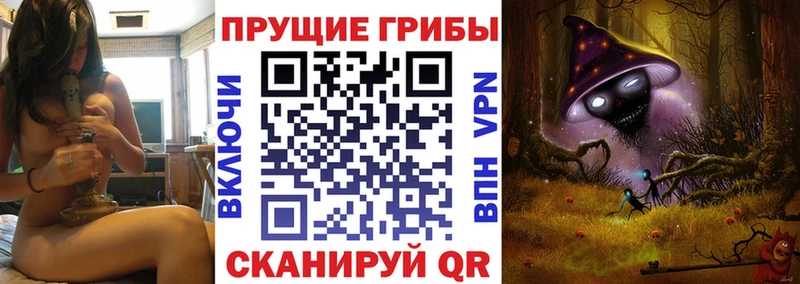 Галлюциногенные грибы прущие грибы  Дюртюли 