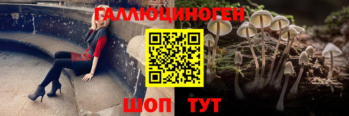 Галлюциногенные грибы GOLDEN TEACHER  Вход с VPN  Дюртюли 